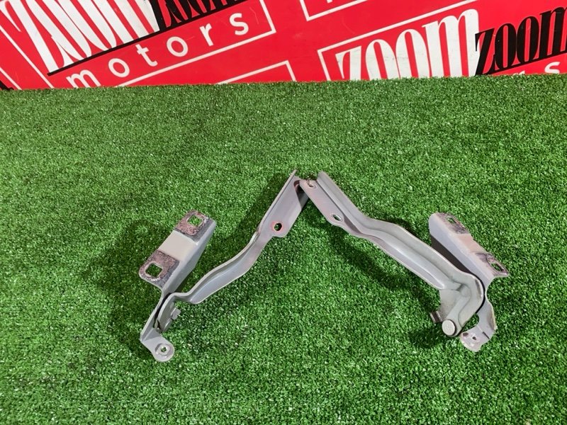 Петля (Шарнир капота), 2400 рублей, Солонцы