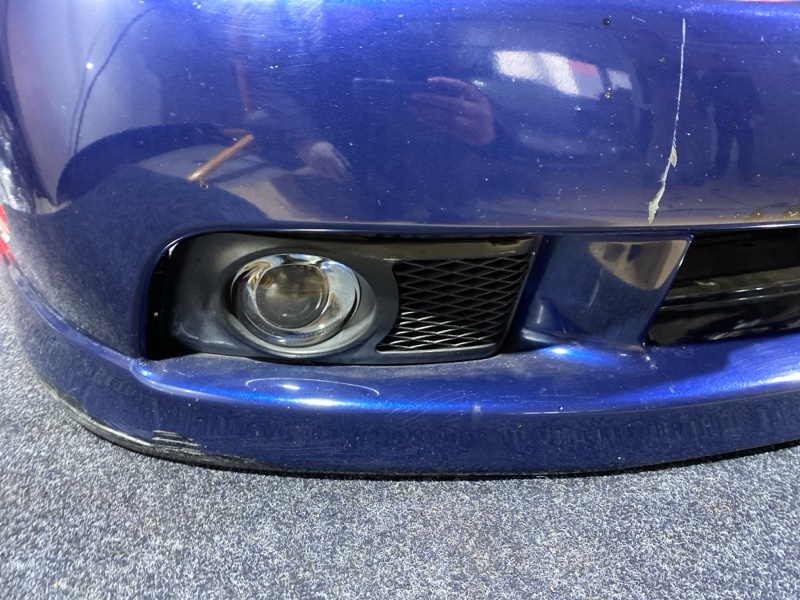 Nose cut, 35000 рублей, Солонцы