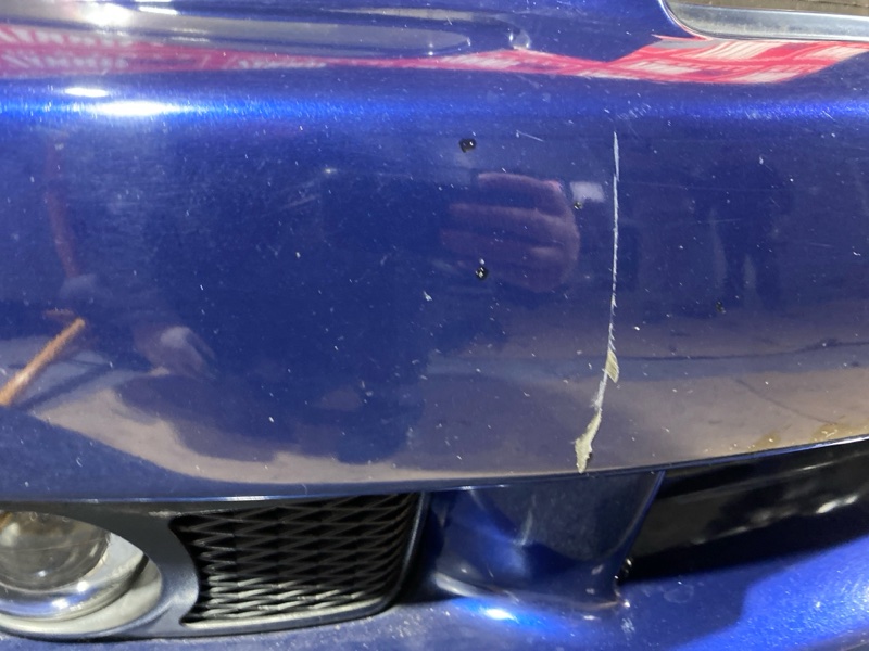 Nose cut, 35000 рублей, Солонцы