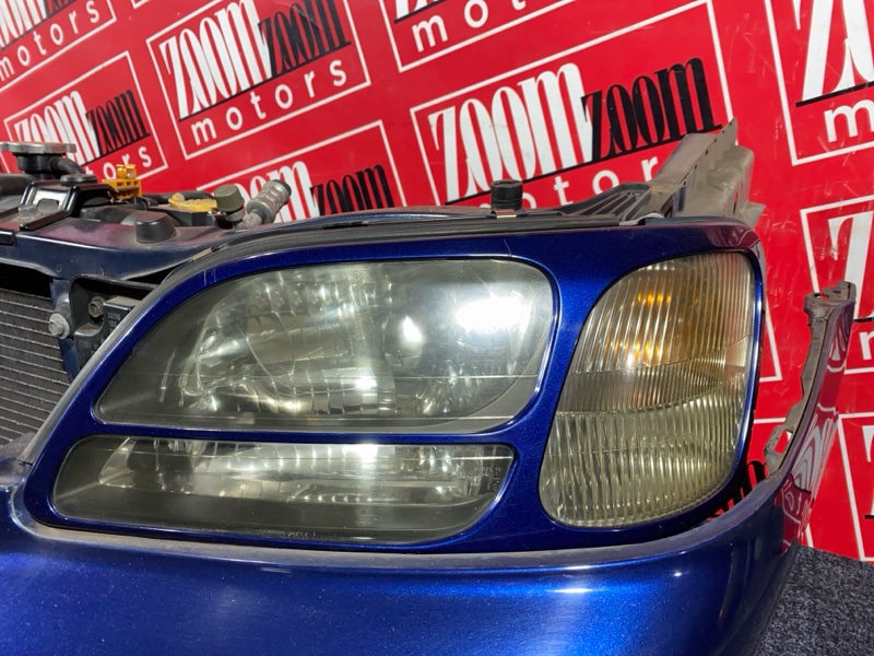 Nose cut, 35000 рублей, Солонцы