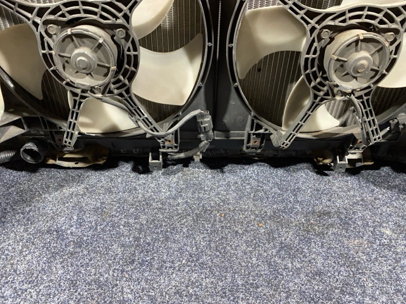 Nose cut, 35000 рублей, Солонцы