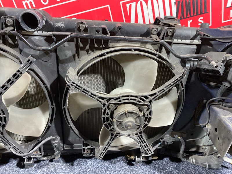 Nose cut, 35000 рублей, Солонцы