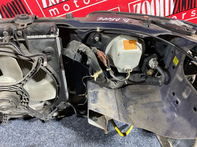 Nose cut, 35000 рублей, Солонцы