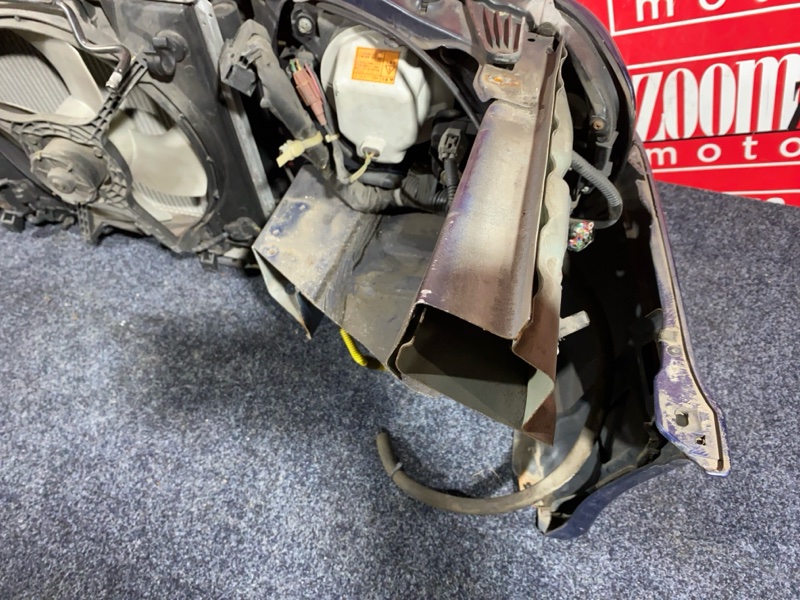 Nose cut, 35000 рублей, Солонцы