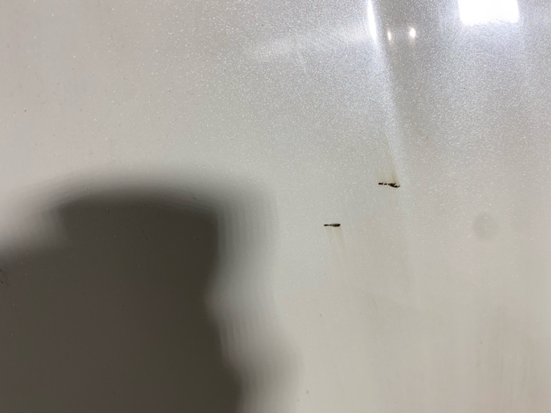 Капот, 10500 рублей, Солонцы