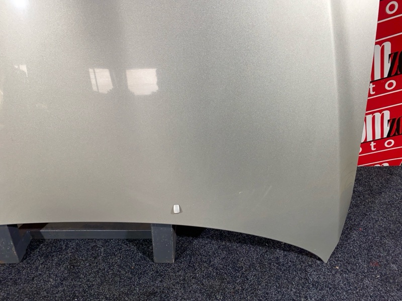 Капот, 10000 рублей, Солонцы