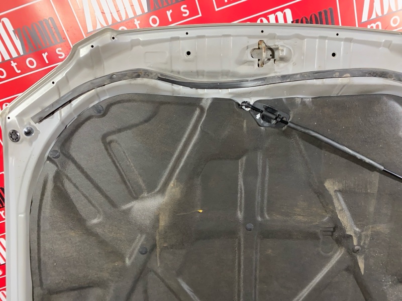 Капот, 10000 рублей, Солонцы