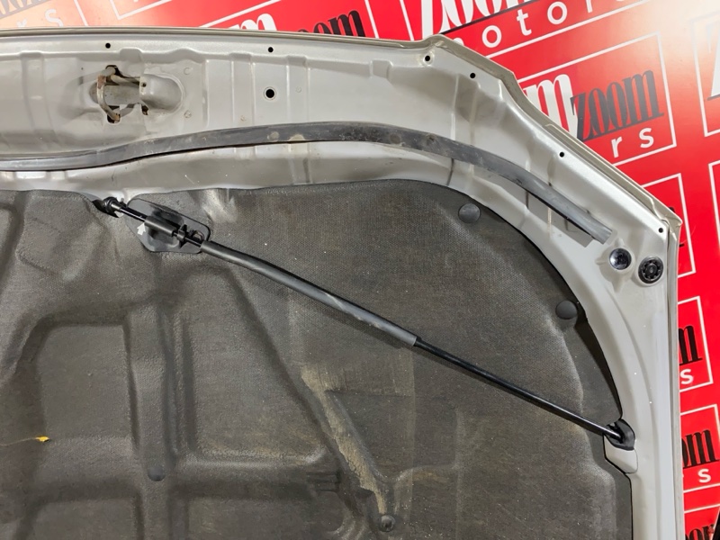 Капот, 10000 рублей, Солонцы