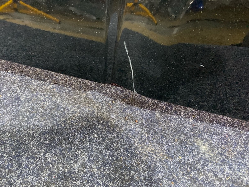 Крыло, 1900 рублей, Солонцы