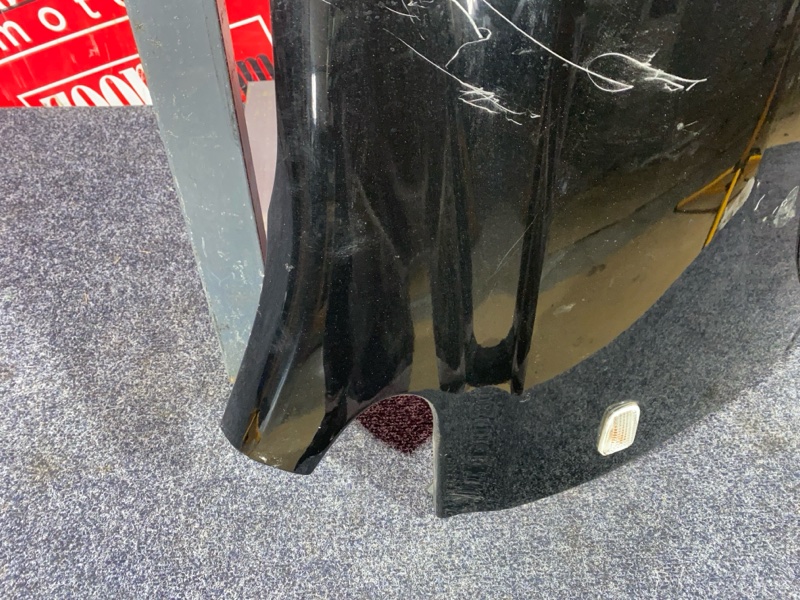 Крыло, 1800 рублей, Солонцы