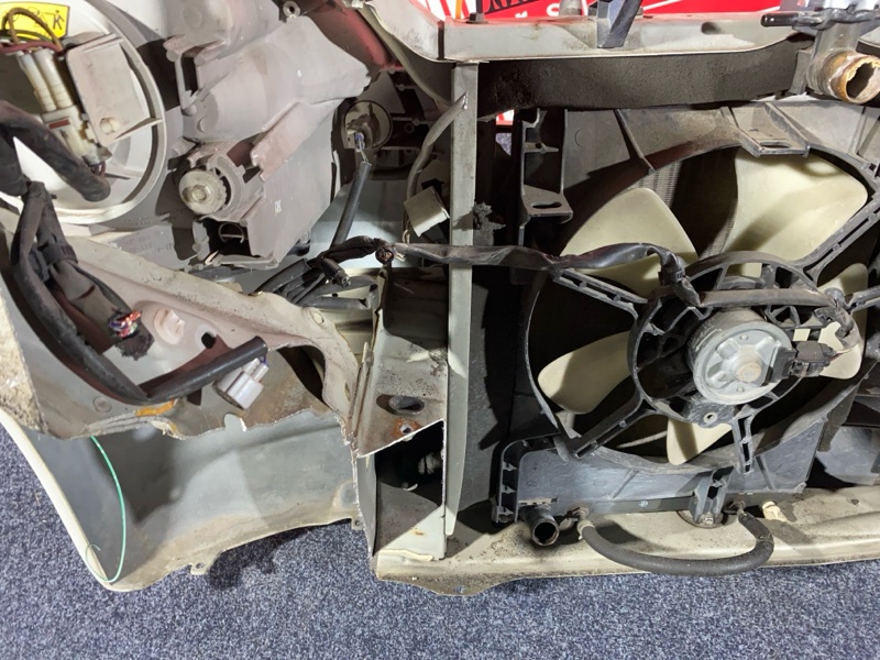 Nose cut, 20900 рублей, Солонцы