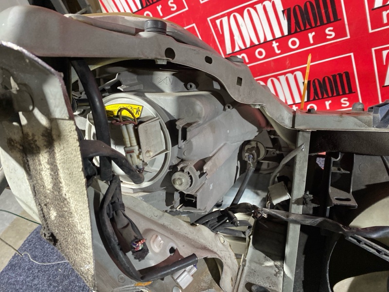 Nose cut, 20900 рублей, Солонцы