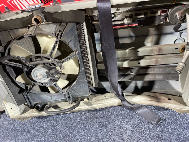 Nose cut, 20900 рублей, Солонцы