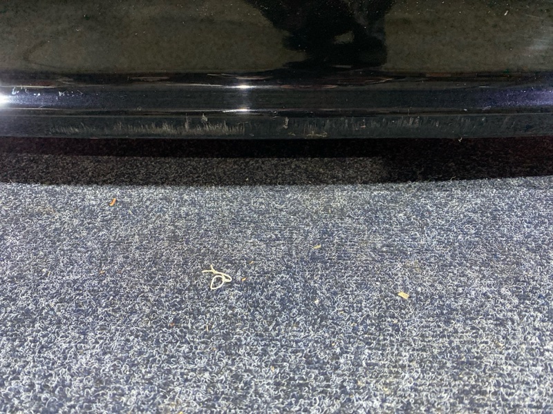 Nose cut, 45000 рублей, Солонцы