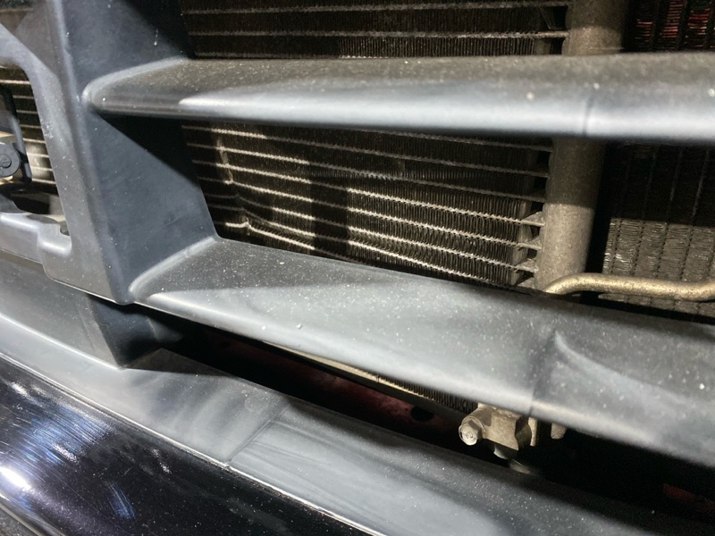 Nose cut, 45000 рублей, Солонцы