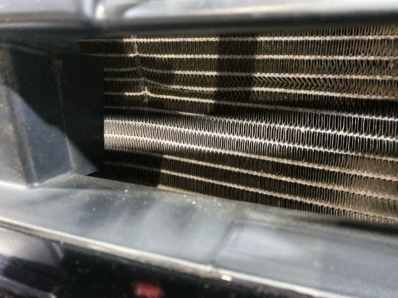 Nose cut, 45000 рублей, Солонцы