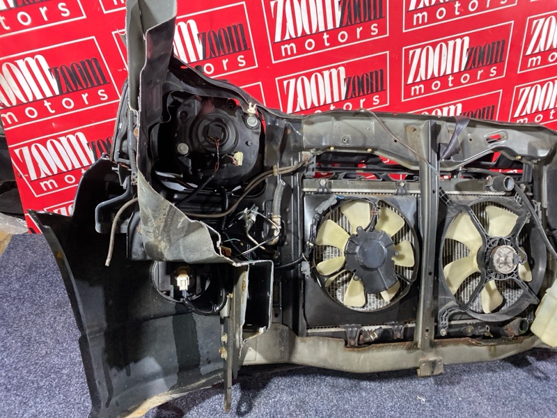 Nose cut, 45000 рублей, Солонцы