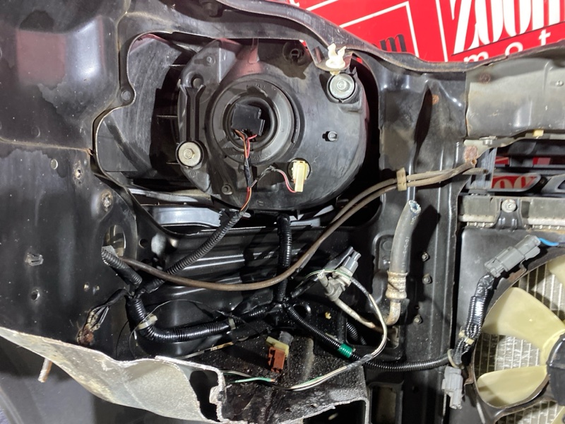 Nose cut, 45000 рублей, Солонцы