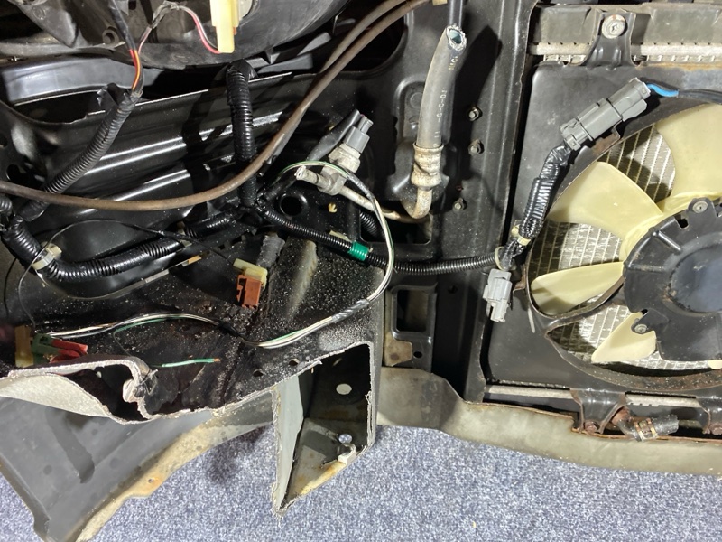 Nose cut, 45000 рублей, Солонцы