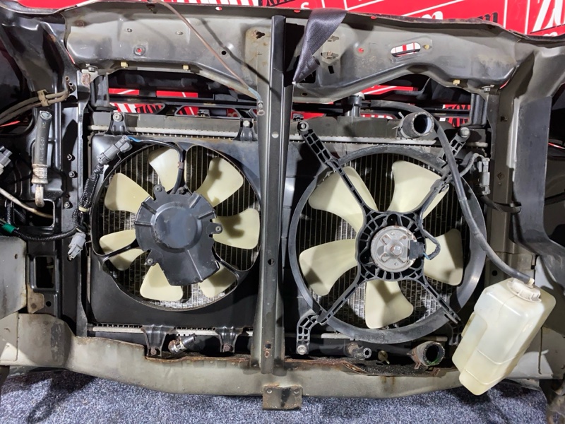 Nose cut, 45000 рублей, Солонцы