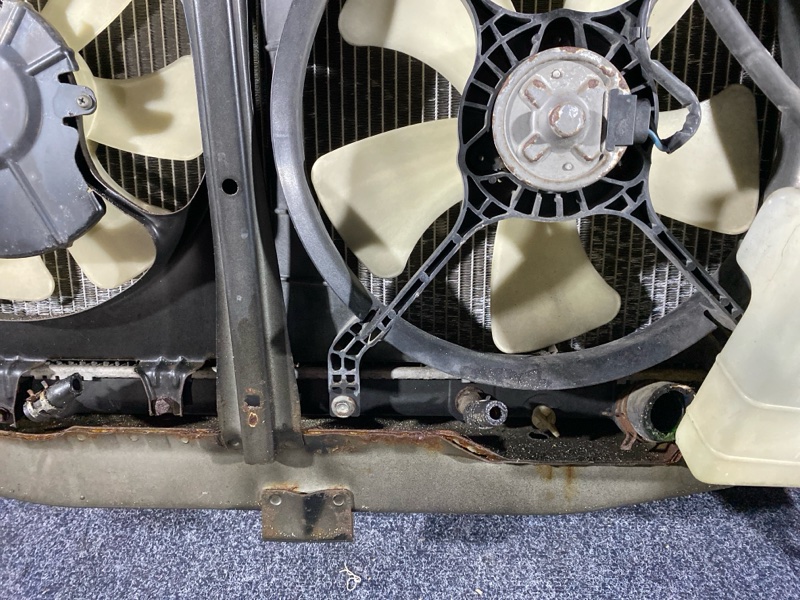 Nose cut, 45000 рублей, Солонцы