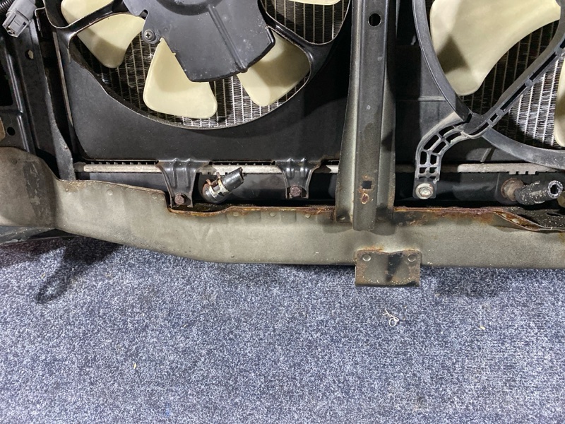 Nose cut, 45000 рублей, Солонцы