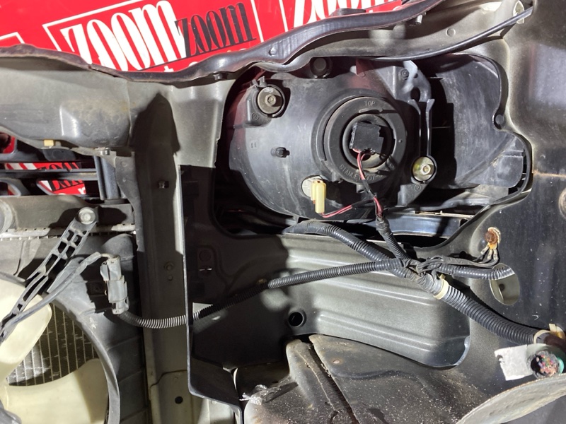 Nose cut, 45000 рублей, Солонцы