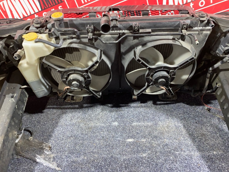 Nose cut, 42000 рублей, Солонцы