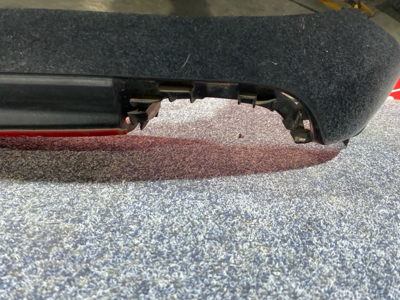 Nose cut, 42000 рублей, Солонцы