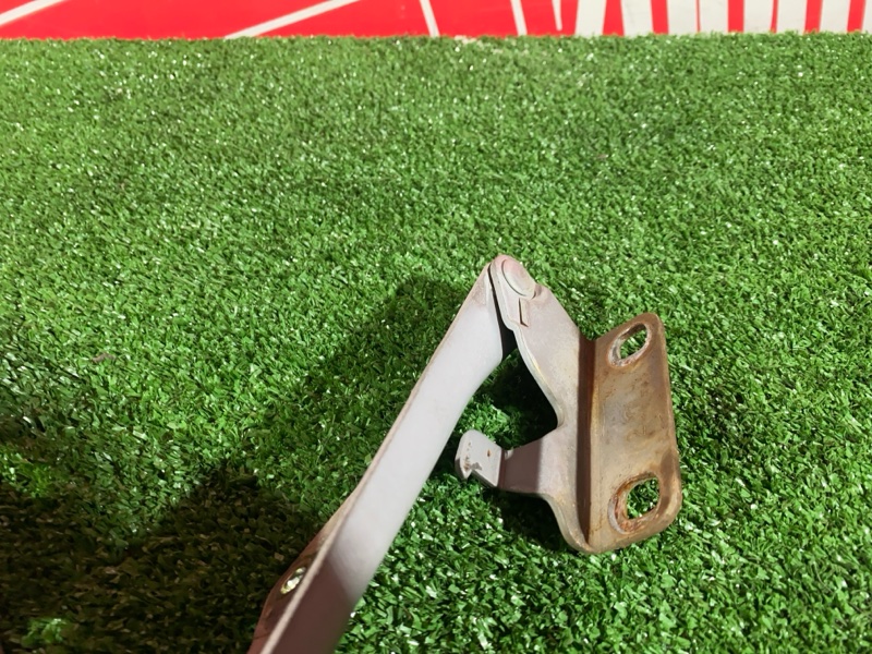 Петля (Шарнир капота), 500 рублей, Солонцы