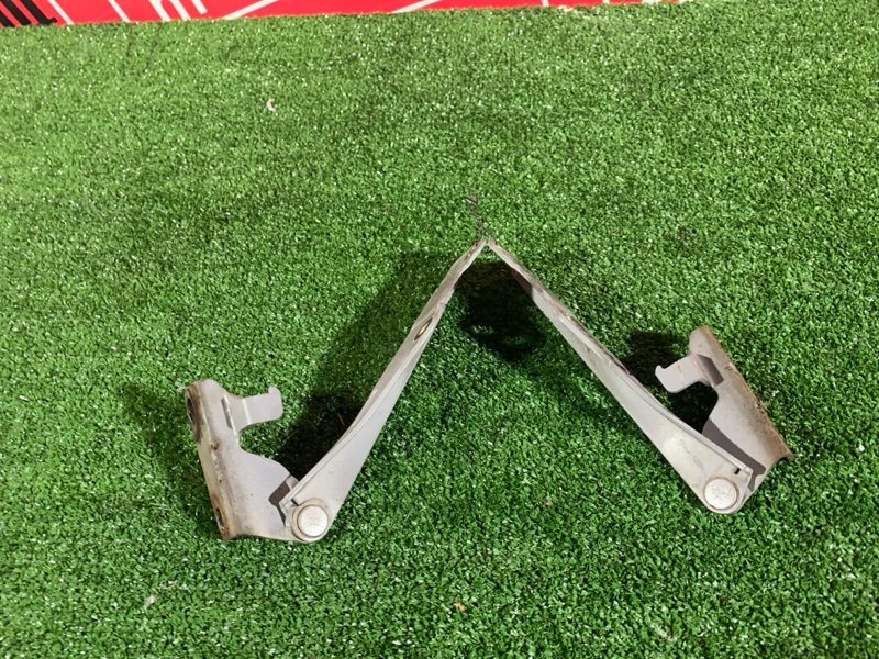 Петля (Шарнир капота), 500 рублей, Солонцы