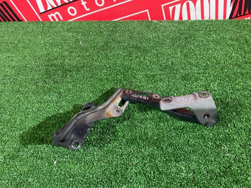 Петля (Шарнир капота), 500 рублей, Солонцы