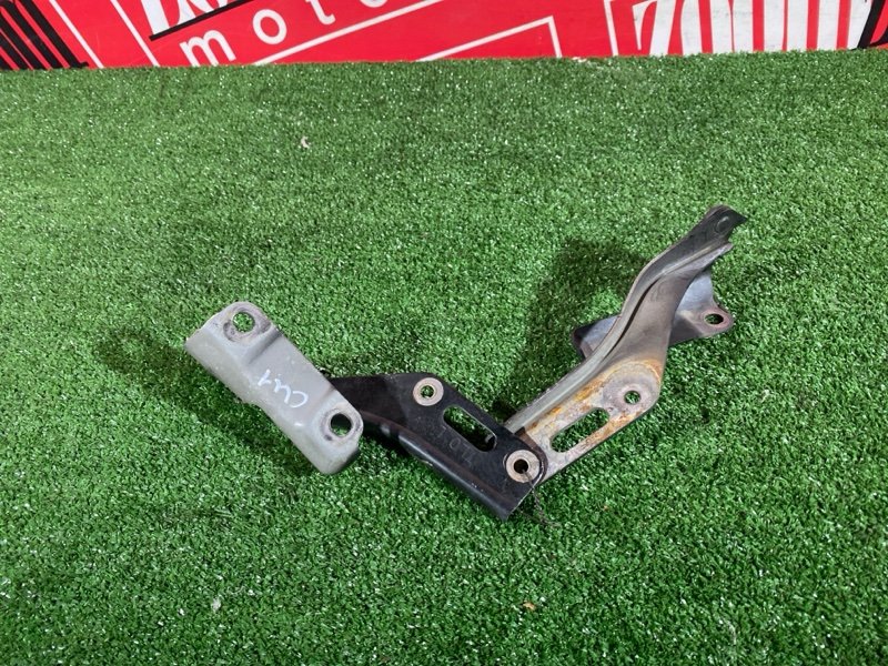 Петля (Шарнир капота), 500 рублей, Солонцы