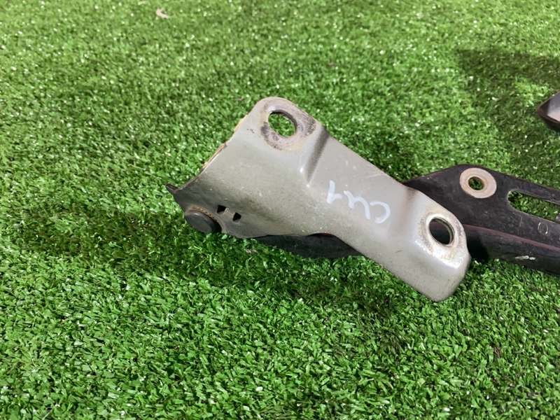 Петля (Шарнир капота), 500 рублей, Солонцы