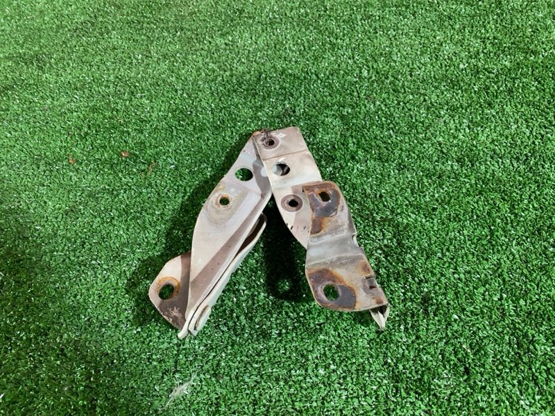 Петля (Шарнир капота), 400 рублей, Солонцы