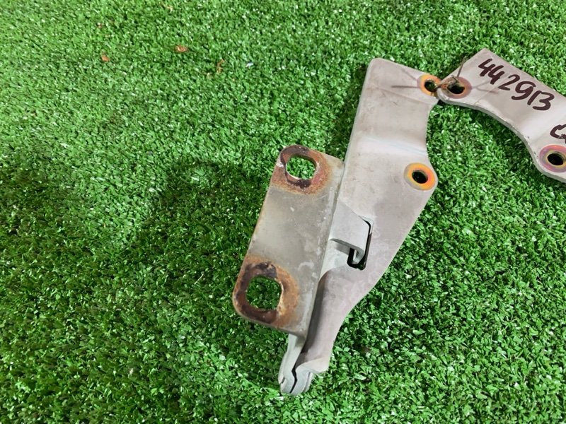 Петля (Шарнир капота), 500 рублей, Солонцы