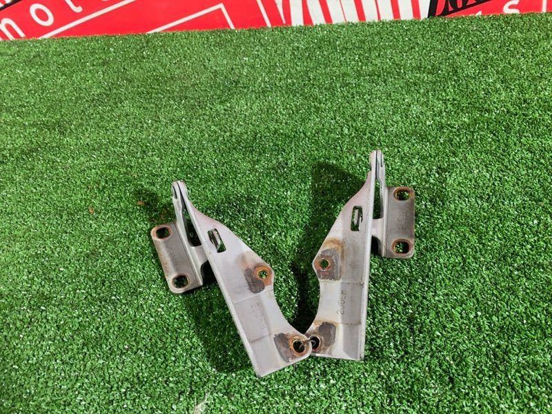 Петля (Шарнир капота), 500 рублей, Солонцы