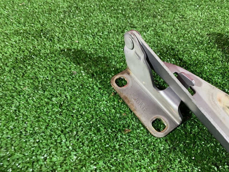 Петля (Шарнир капота), 500 рублей, Солонцы