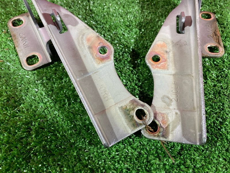 Петля (Шарнир капота), 500 рублей, Солонцы