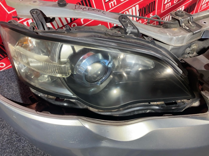 Nose cut, 42000 рублей, Солонцы