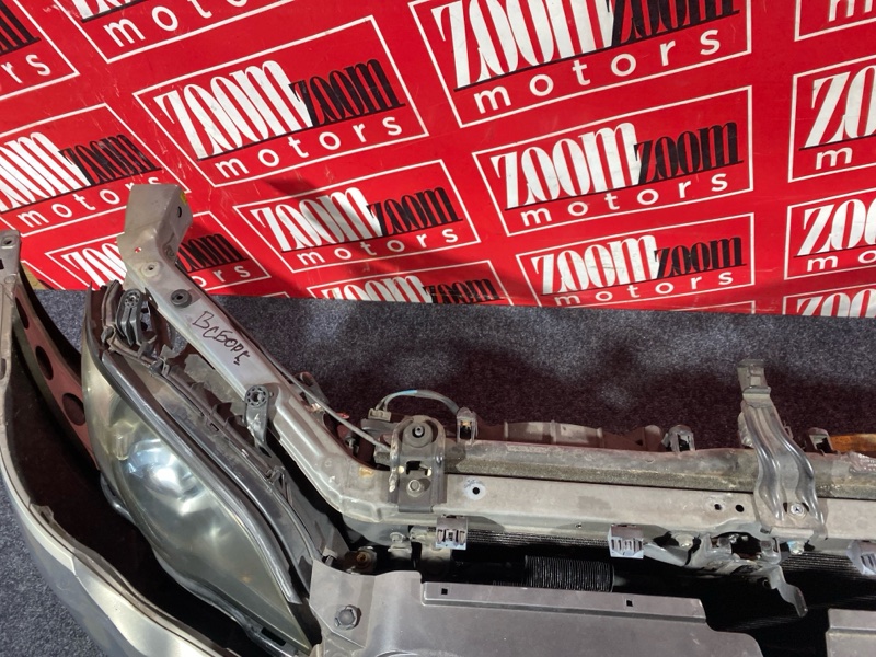 Nose cut, 42000 рублей, Солонцы