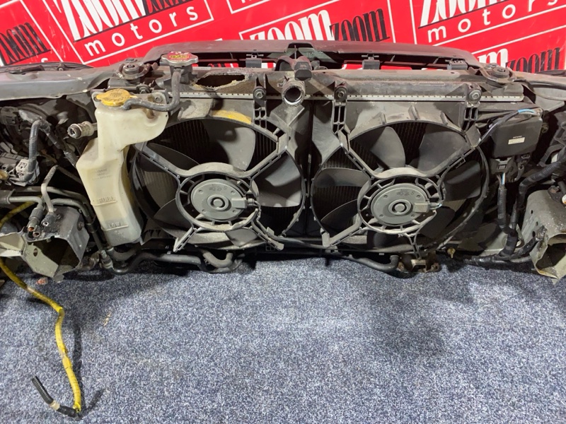 Nose cut, 42000 рублей, Солонцы