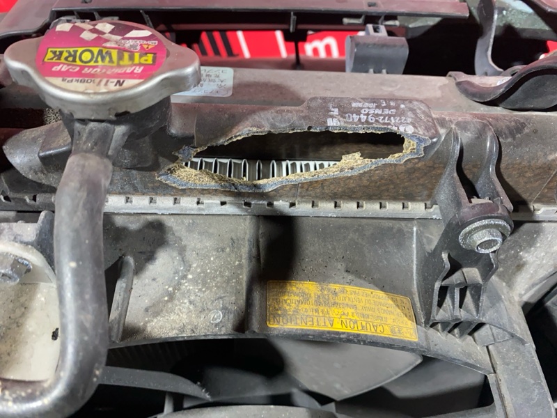 Nose cut, 42000 рублей, Солонцы