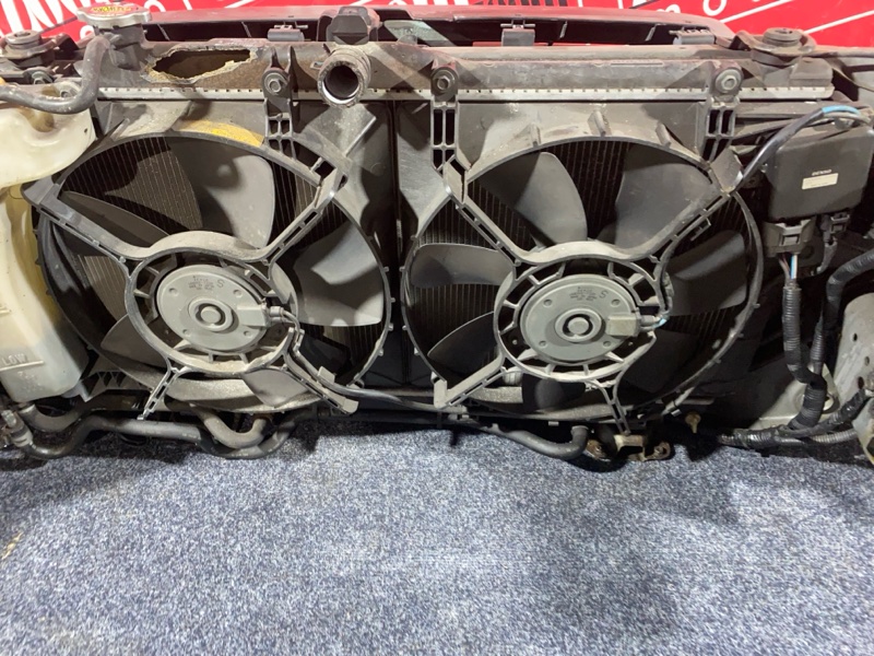 Nose cut, 42000 рублей, Солонцы