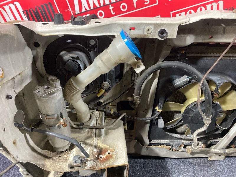 Nose cut, 38000 рублей, Солонцы