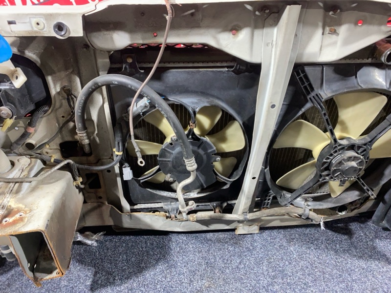 Nose cut, 38000 рублей, Солонцы