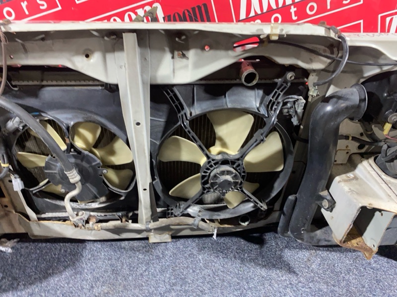 Nose cut, 38000 рублей, Солонцы