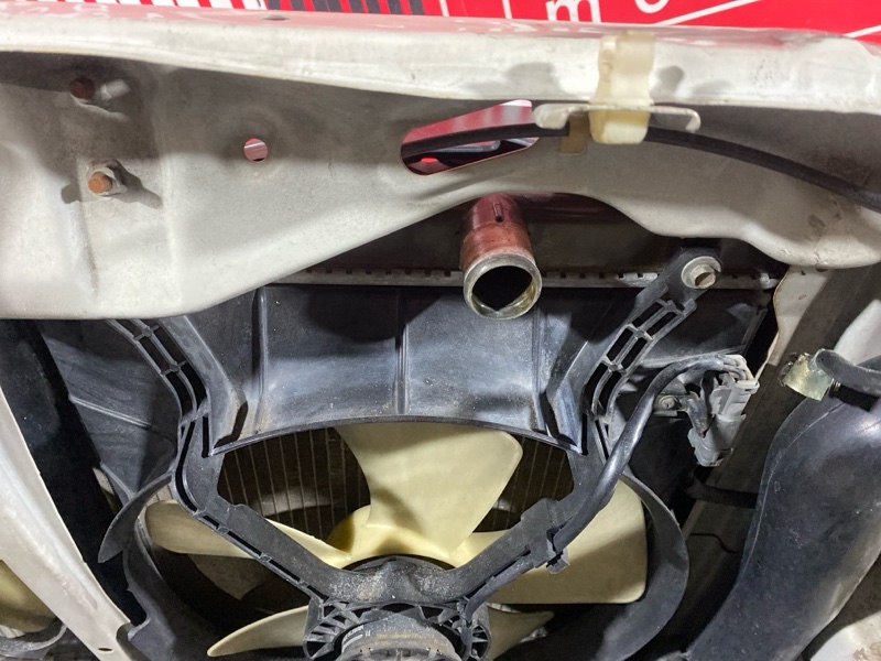 Nose cut, 38000 рублей, Солонцы