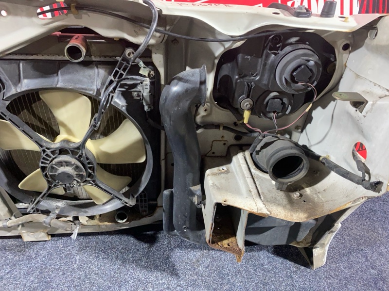 Nose cut, 38000 рублей, Солонцы