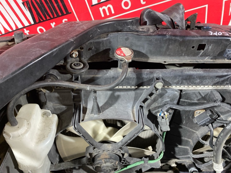 Ноускат, 32000 рублей, Солонцы